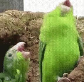 不超过十块钱的实用好药,实用不贵的皮肤药膏