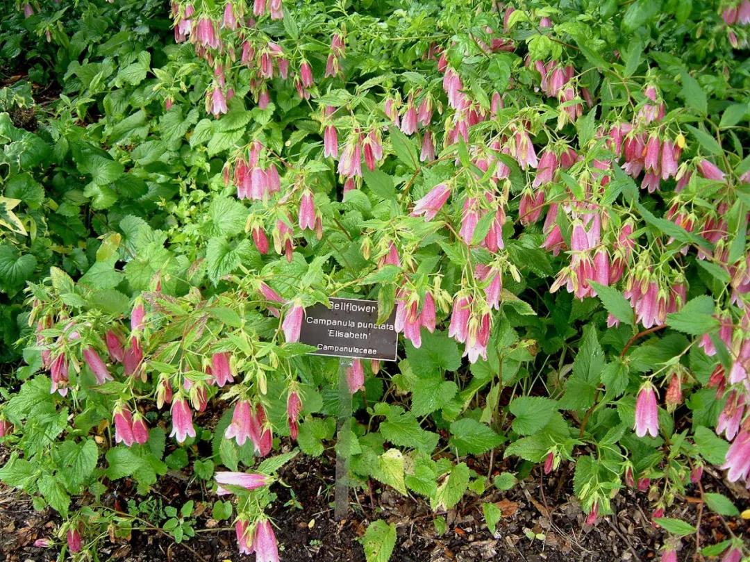 做好这三点你才能成事,做好这三点淡斑效果翻倍