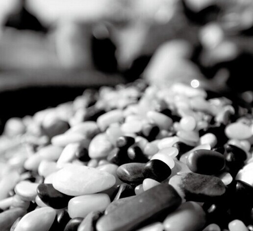 新疆十八怪完整版,新疆十八怪全景