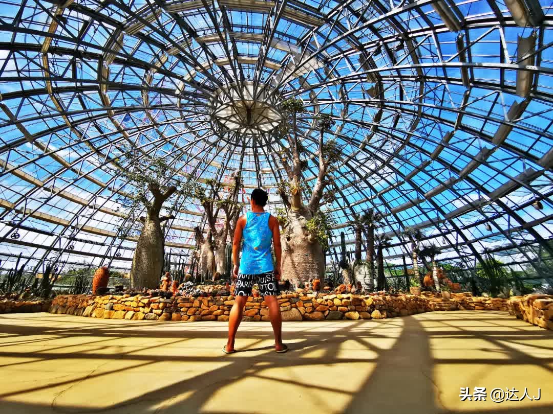 海岛上的梦幻乐园,梦幻海岛主题公园