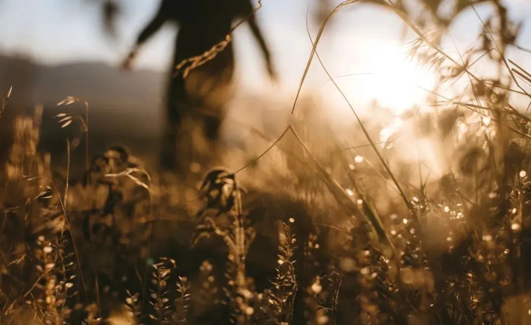 人生一半是执着一半是释怀,人生一半看淡一半释怀