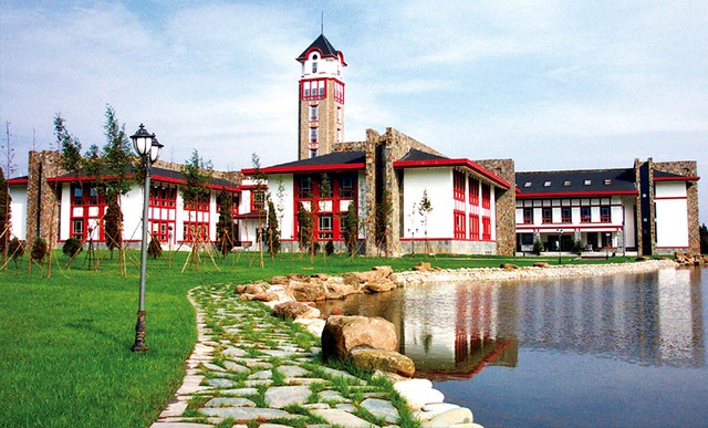 东软创新,错位创新东软