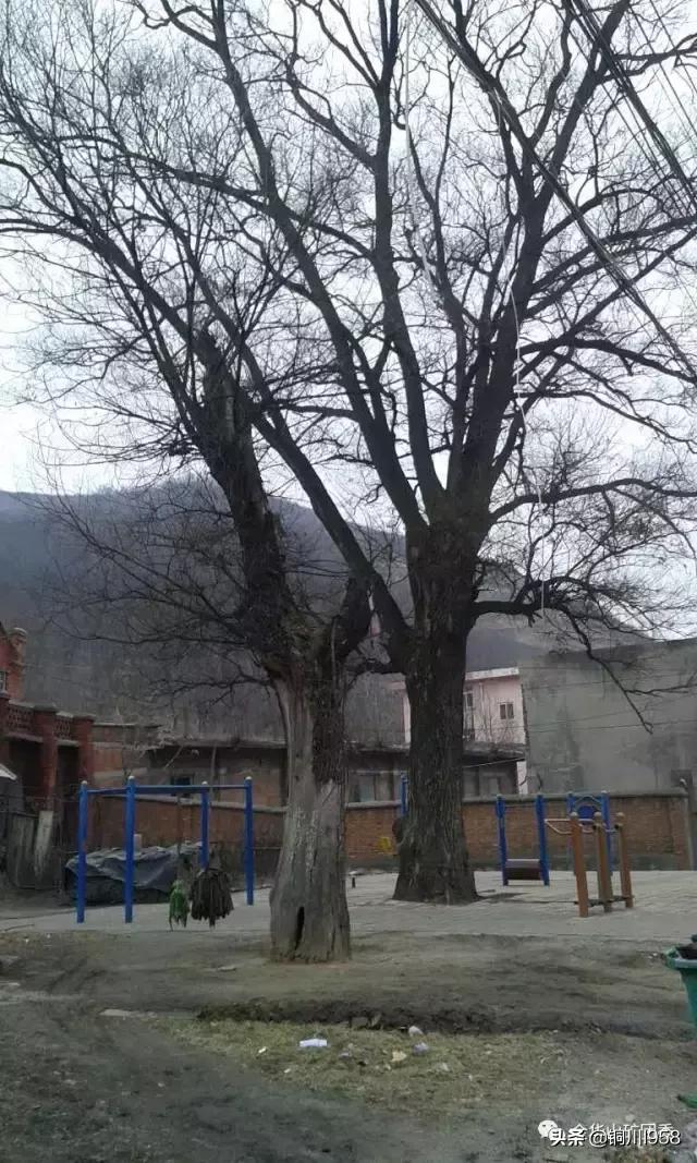 昔日的金华山煤矿,金华山煤矿