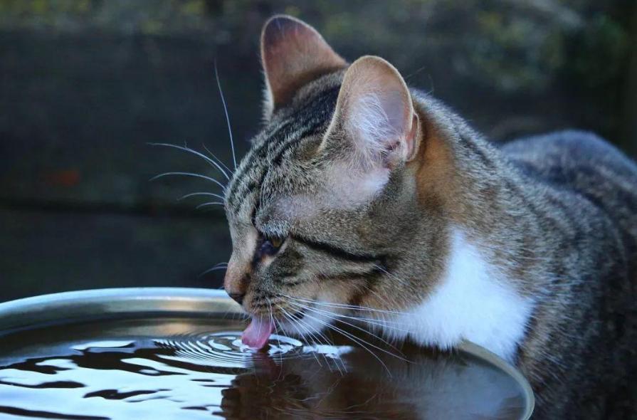 教你如何正确选用净水器,健康饮水如何选好的净水器