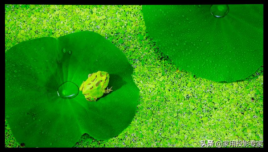 「评测」15万元4K家用激光投影机怎样？看索尼VPL-VW798