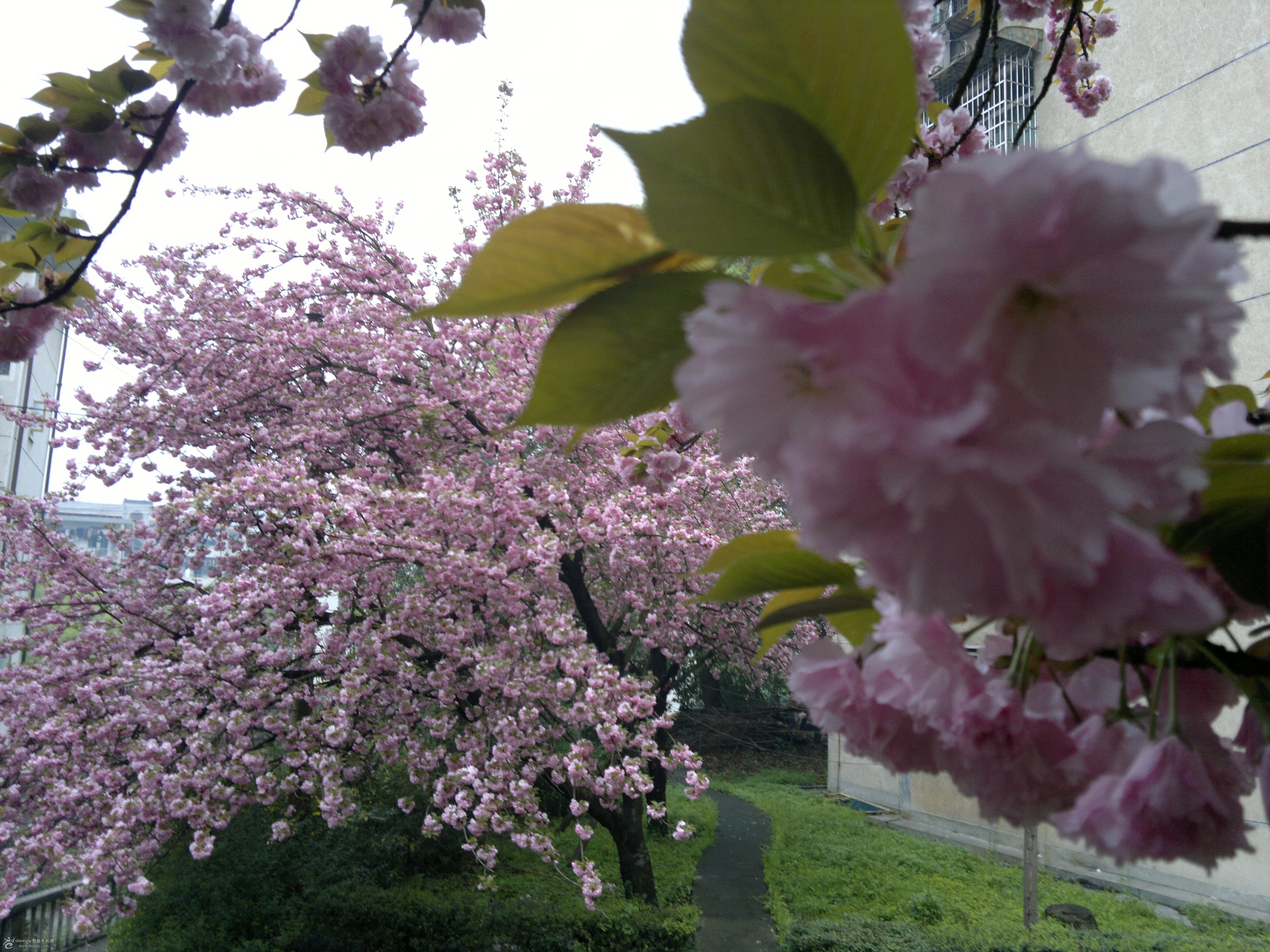 吉首最好的地标,吉首特色地标