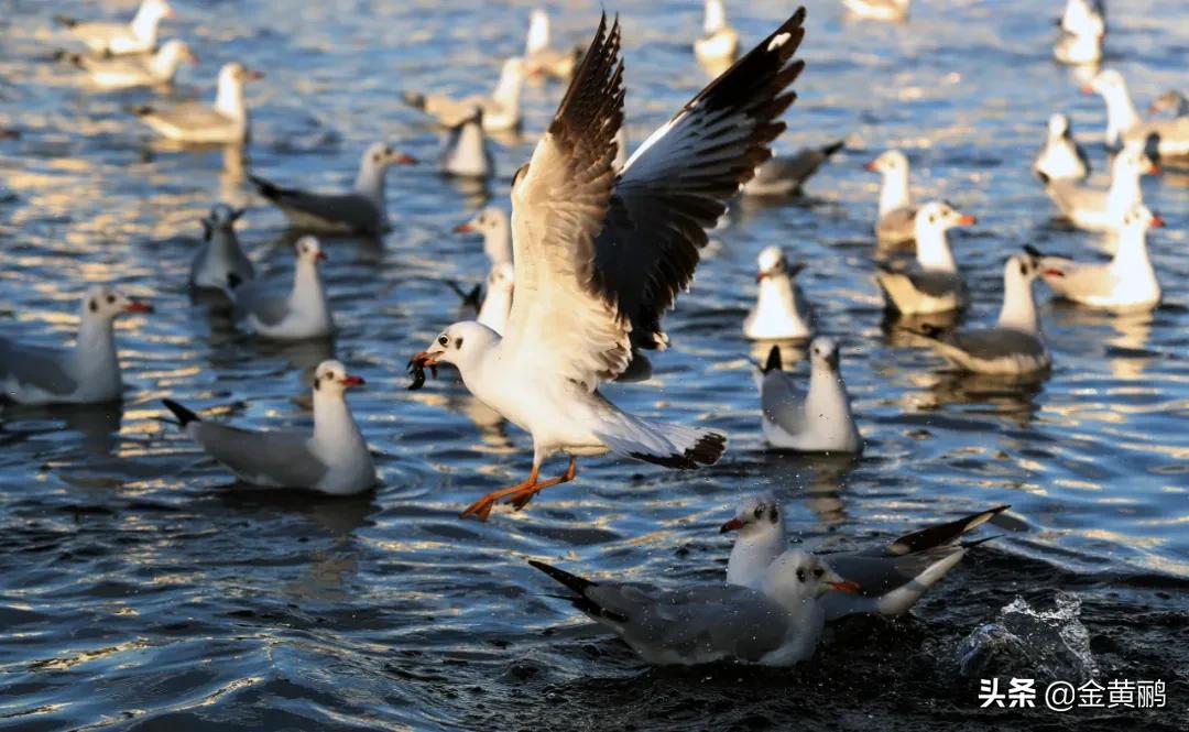 为什么云南女人长相好看,云南真的很漂亮吗