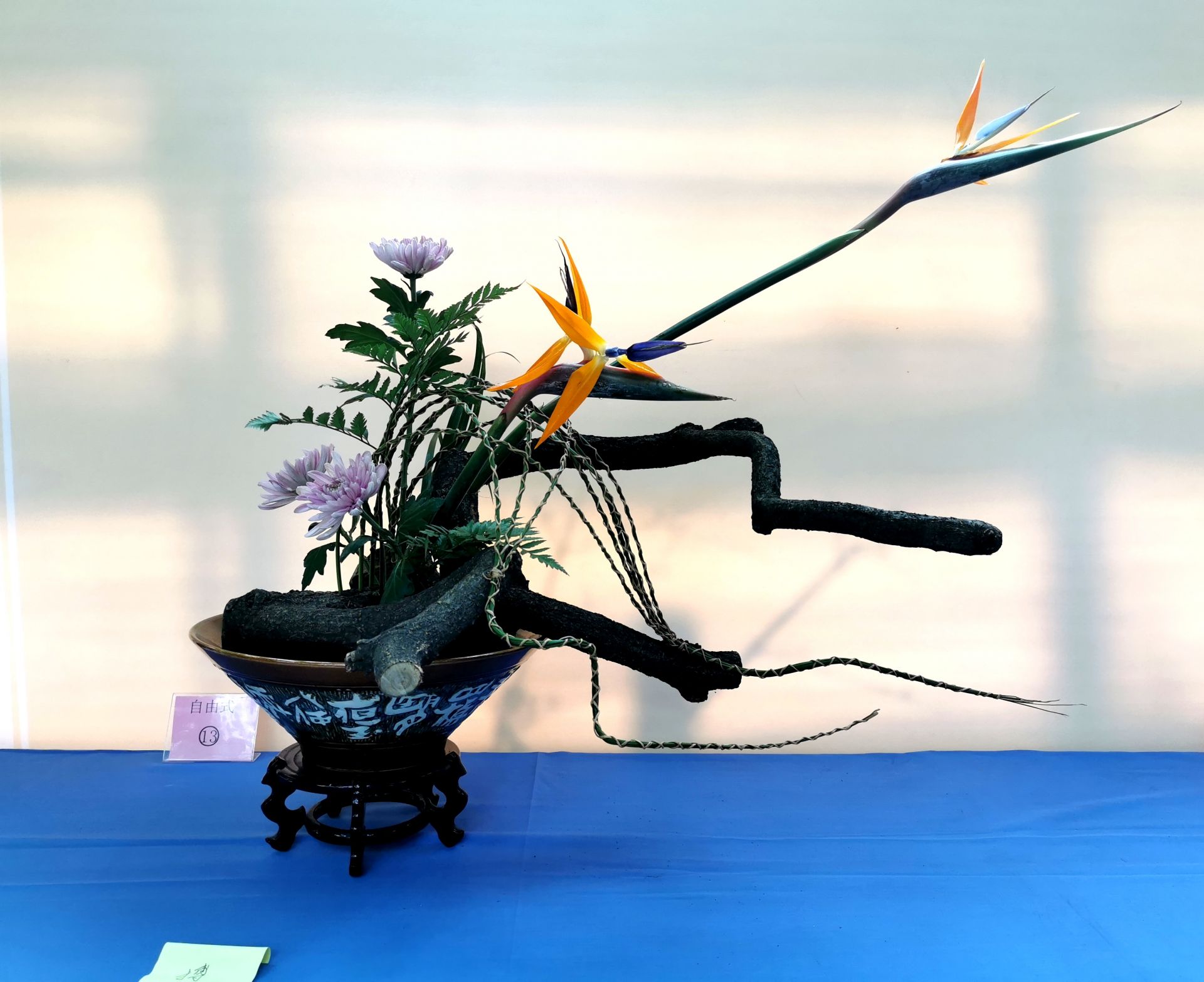 国庆去哪儿南国花锦,国庆去月季公园