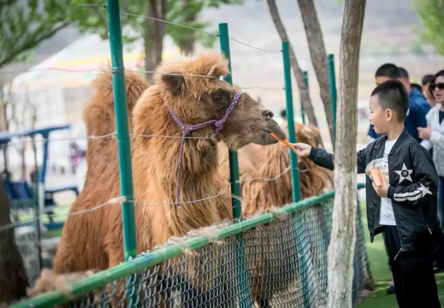 大连铭湖牧场和三寰牧场区别,大连铭湖牧场现在草绿了么