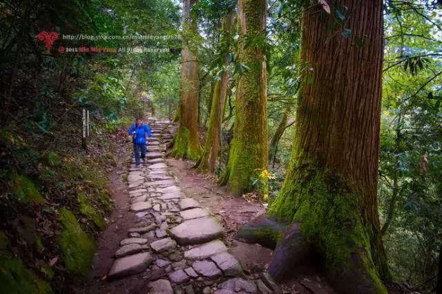 杭州天目山民宿排名前十,隐居山林中的5家精品民宿