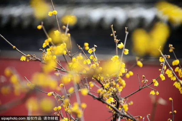 北京生活最不可少的一张卡开办！办理时间就一个月！,附上购买攻略和清单