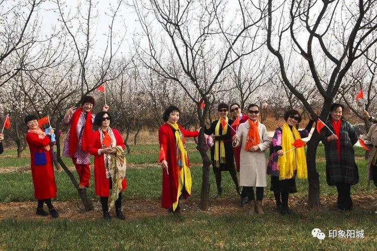 晋城哪里可以春游,晋城附近春游景点