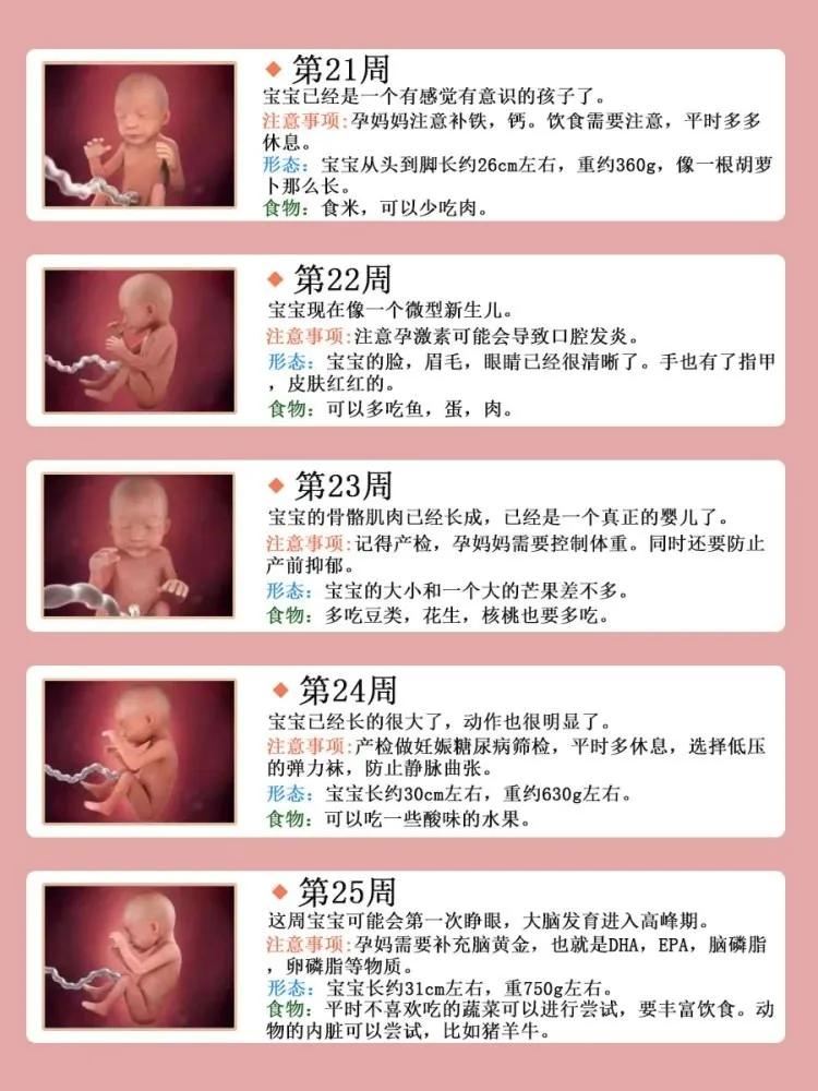 孕期营养补充,孕期营养补充剂排行榜
