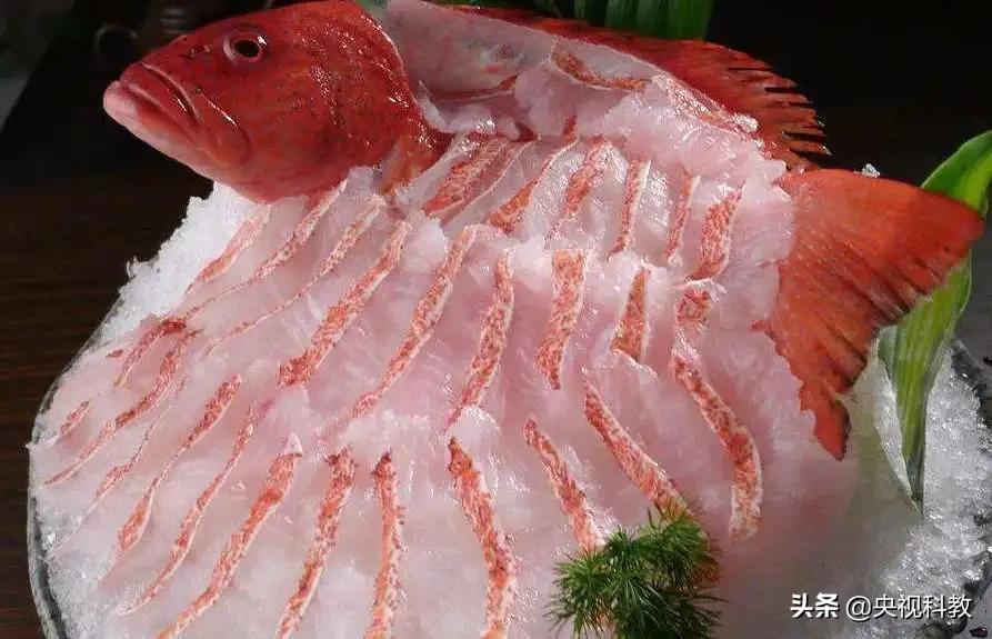 一条石斑鱼,一条石斑鱼一碗白饭