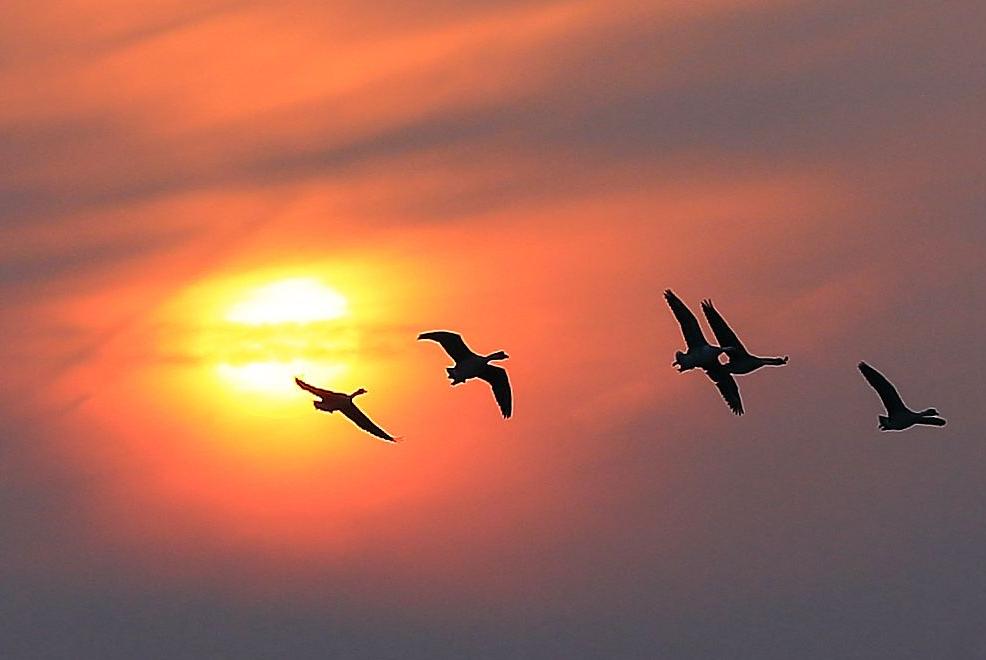 诗词吟诵《秋日》,秋日相思的古诗词