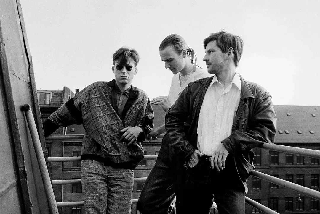 来聊一聊傲慢与性之恶花