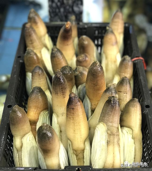 全世界顶级的4种海鲜,世界十大名贵海鲜