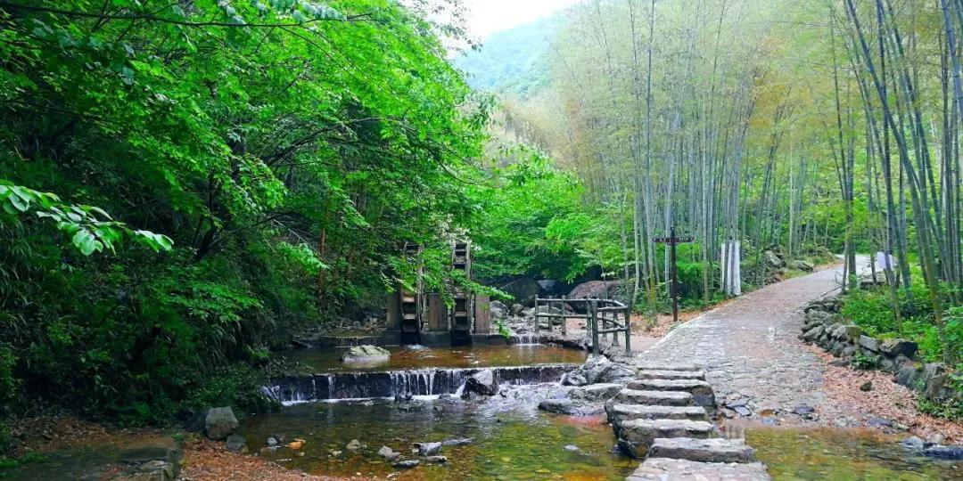 河南传统面食糕点,河南地方的特色面食有多少种呢