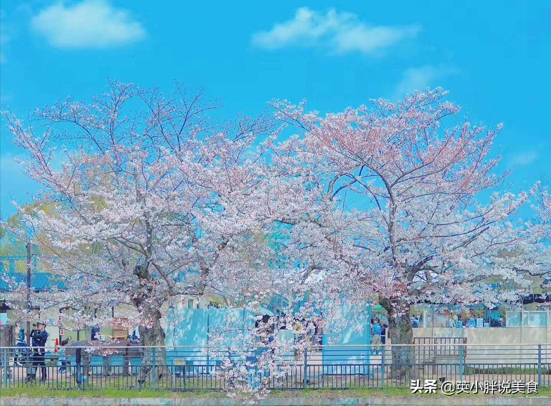 豪客来牛排推荐,豪客来牛排试吃