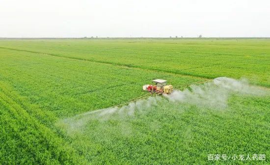 农药剂型那么多？怎么选最合适，怎么混配用？赶快收藏做笔记！
