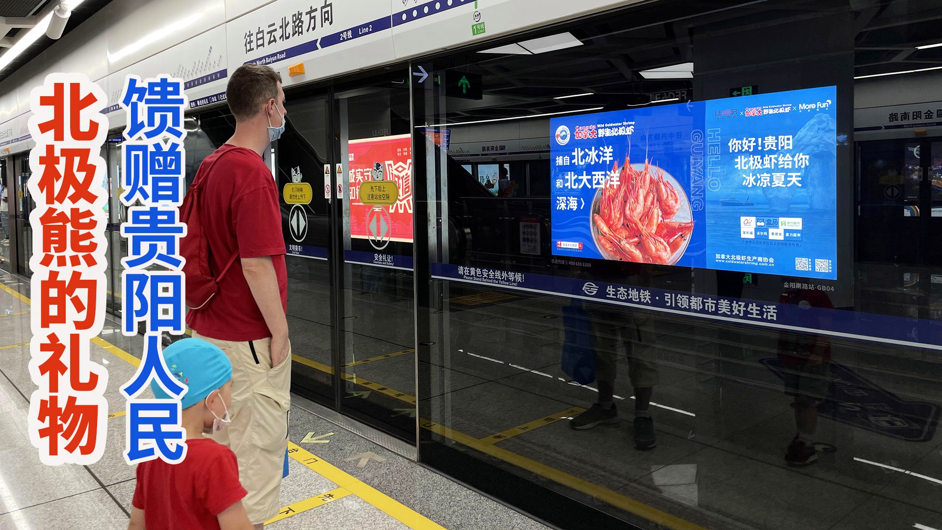 加拿大北极虾地铁广告上线筑城,来自北极的美味馈赠贵阳人民