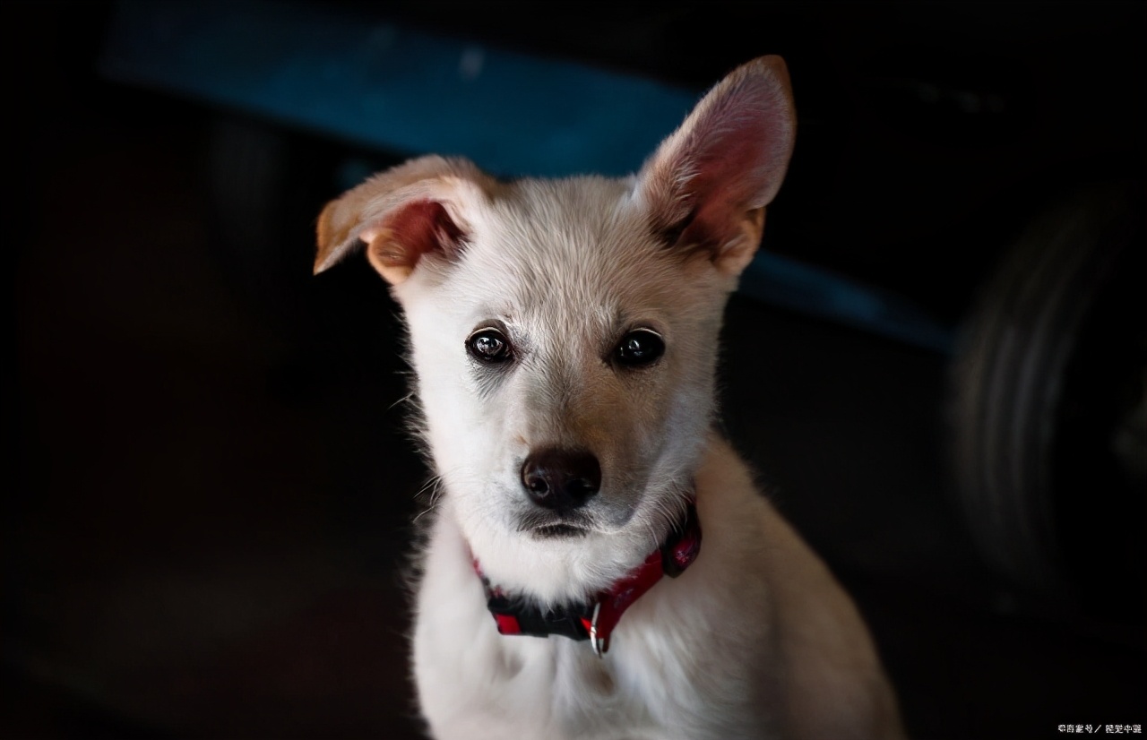 不善于人际交往怎么办教你一招,人际交往太差被讨厌该怎么办