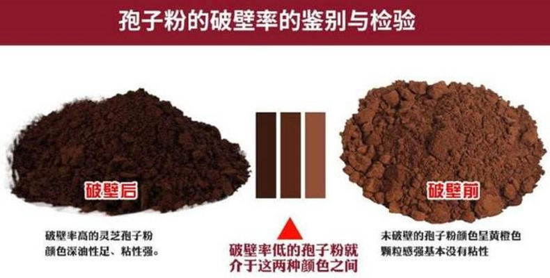 灵芝孢子粉选什么样的最好,如何选择灵芝孢子粉