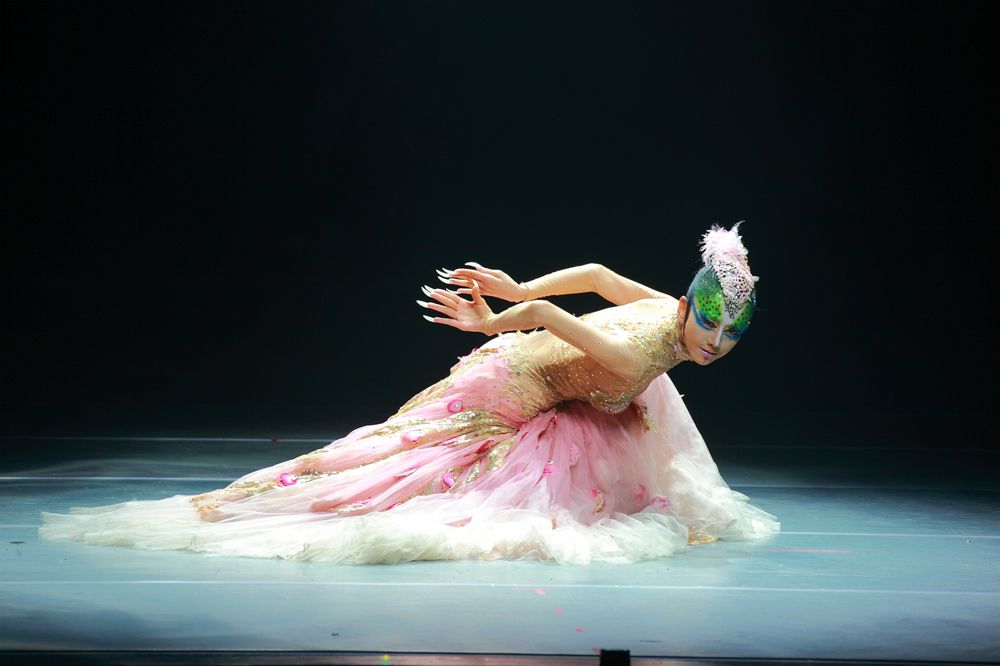 杨丽萍千万豪宅全景,杨丽萍3000万豪宅被查