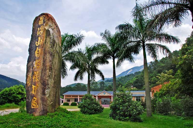惠州罗浮山嘉宝田国际度假酒店,惠州罗浮山度假村