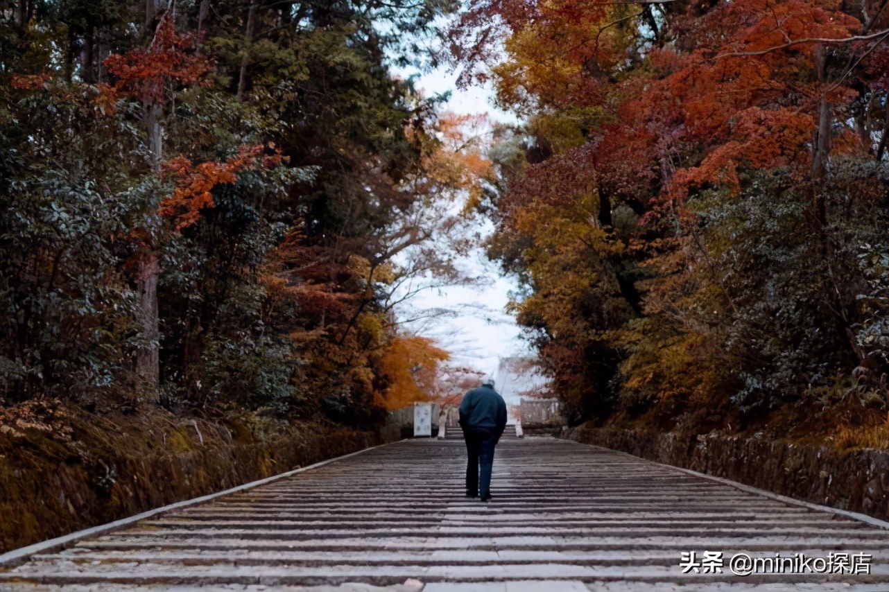 日本关西五天四晚旅游,日本关西6天5夜