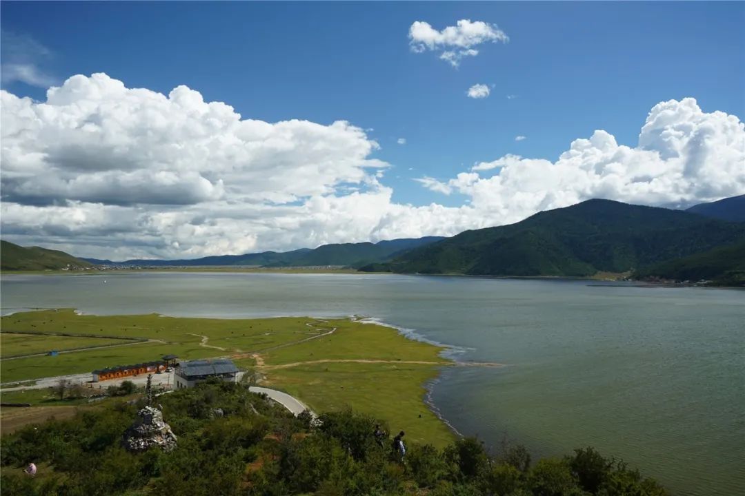 马牌轮胎究竟怎样,马牌轮胎有多强