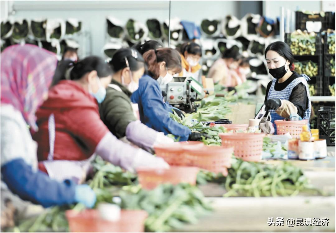 昆明上半年经济运行情况发布,昆明市三季度经济运行分析会