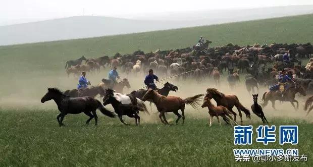 牛！原来内蒙古有这么多第一