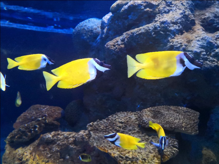 北京工体富国海底世界周一营业,北京工体富国海底世界旅馆