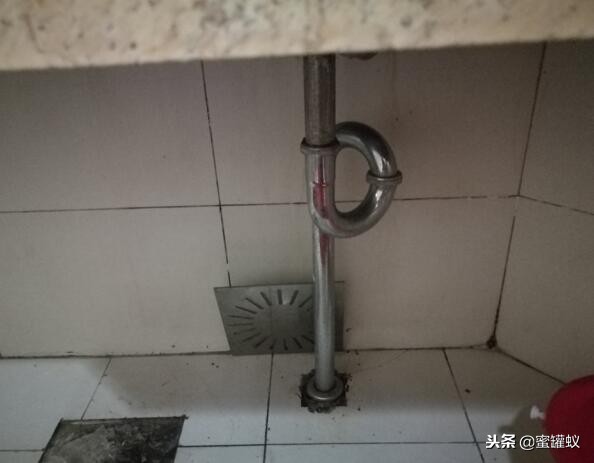 卫生间有小飞虫和臭味怎么解决,卫生间水盆下边反臭味怎么解决