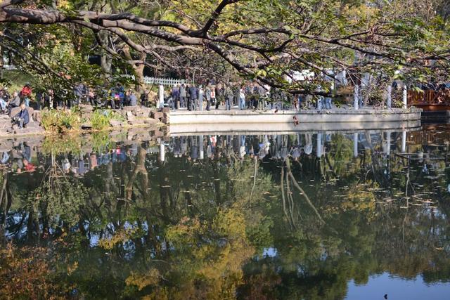 苏州人眼中的公园,苏州公园免费游玩