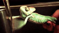 有胃病要记住9点,胃病久治不愈试试这个民间验方