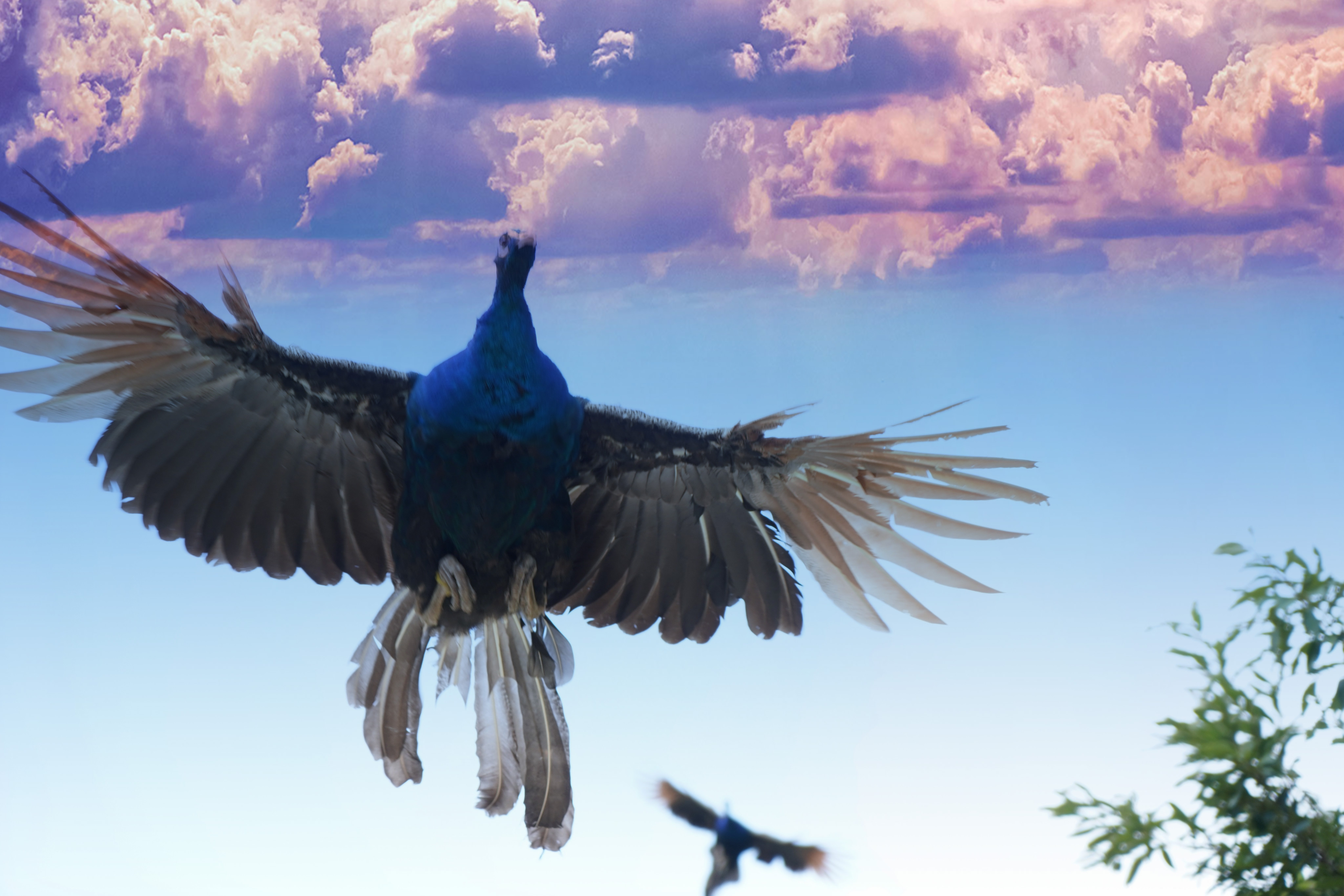 天津蓟州车神架景点视频,国庆天津车神架风景区打卡攻略