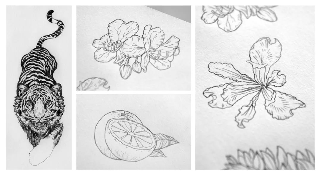 创意包装设计简约也是一种美,令人心动的10款包装设计