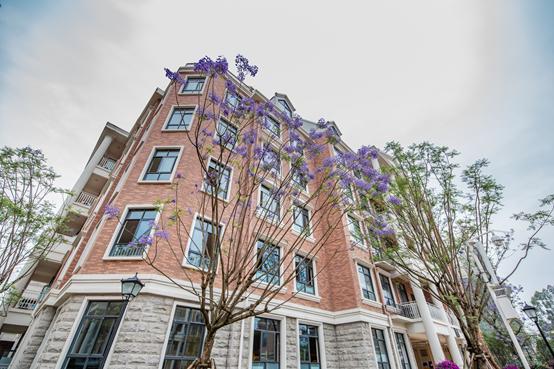 新川外国语学校建校时间,新川外国语学校2021年