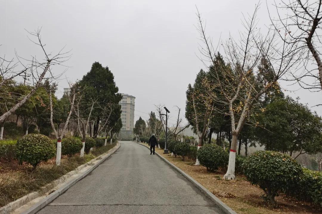登封少林寺冬日,冬日登封龙山