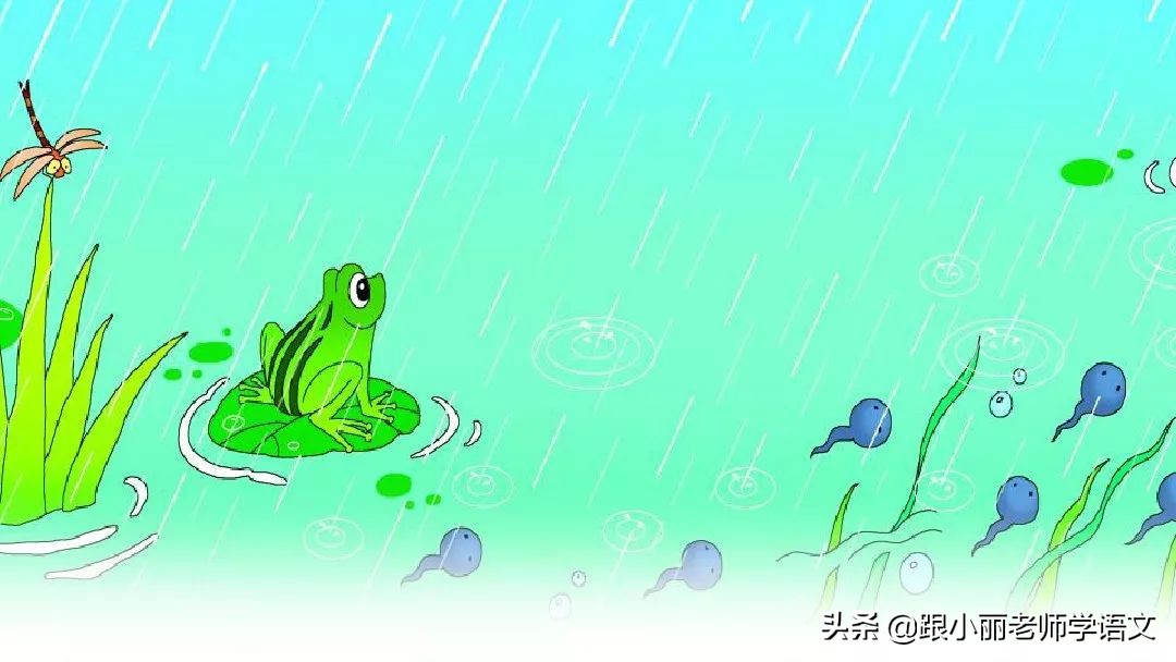 一年级语文上册青蛙写诗教学视频,一年级语文青蛙写诗模拟试讲视频