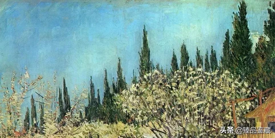 梵高在薄情的世界深情的活着,梵高是一个孤独的疯子