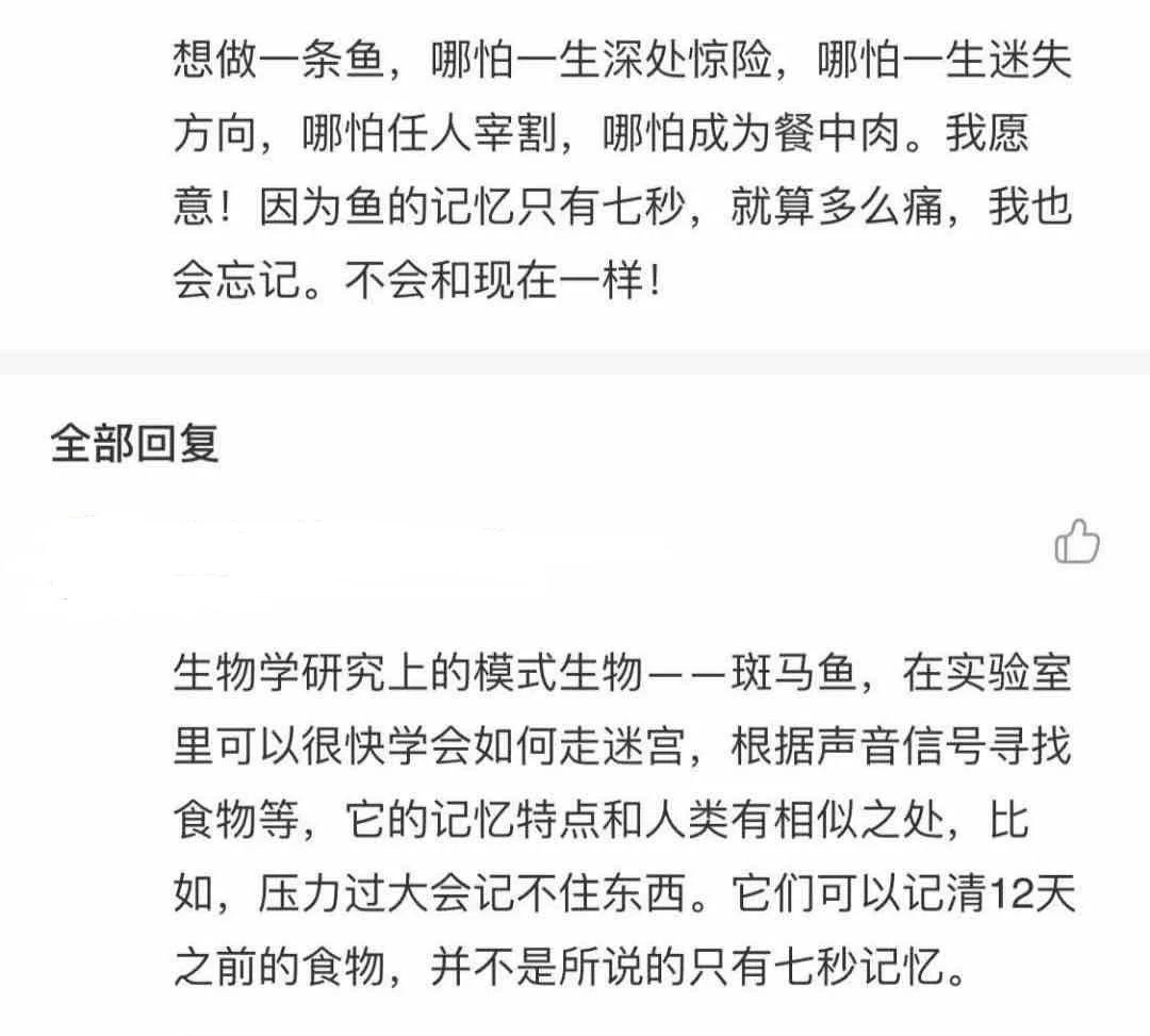“评论失控”的网易云音乐,“歌以传情”的社交路还能走多远?