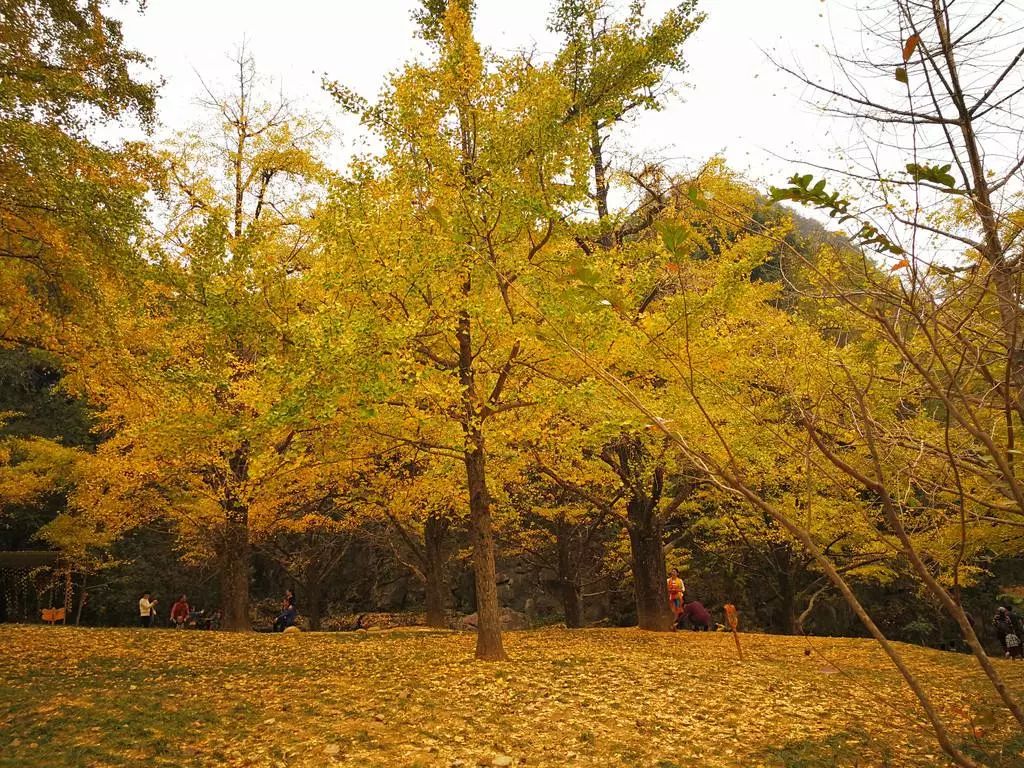 秋季人少景美的小众旅行地,最清静优雅的旅游之地