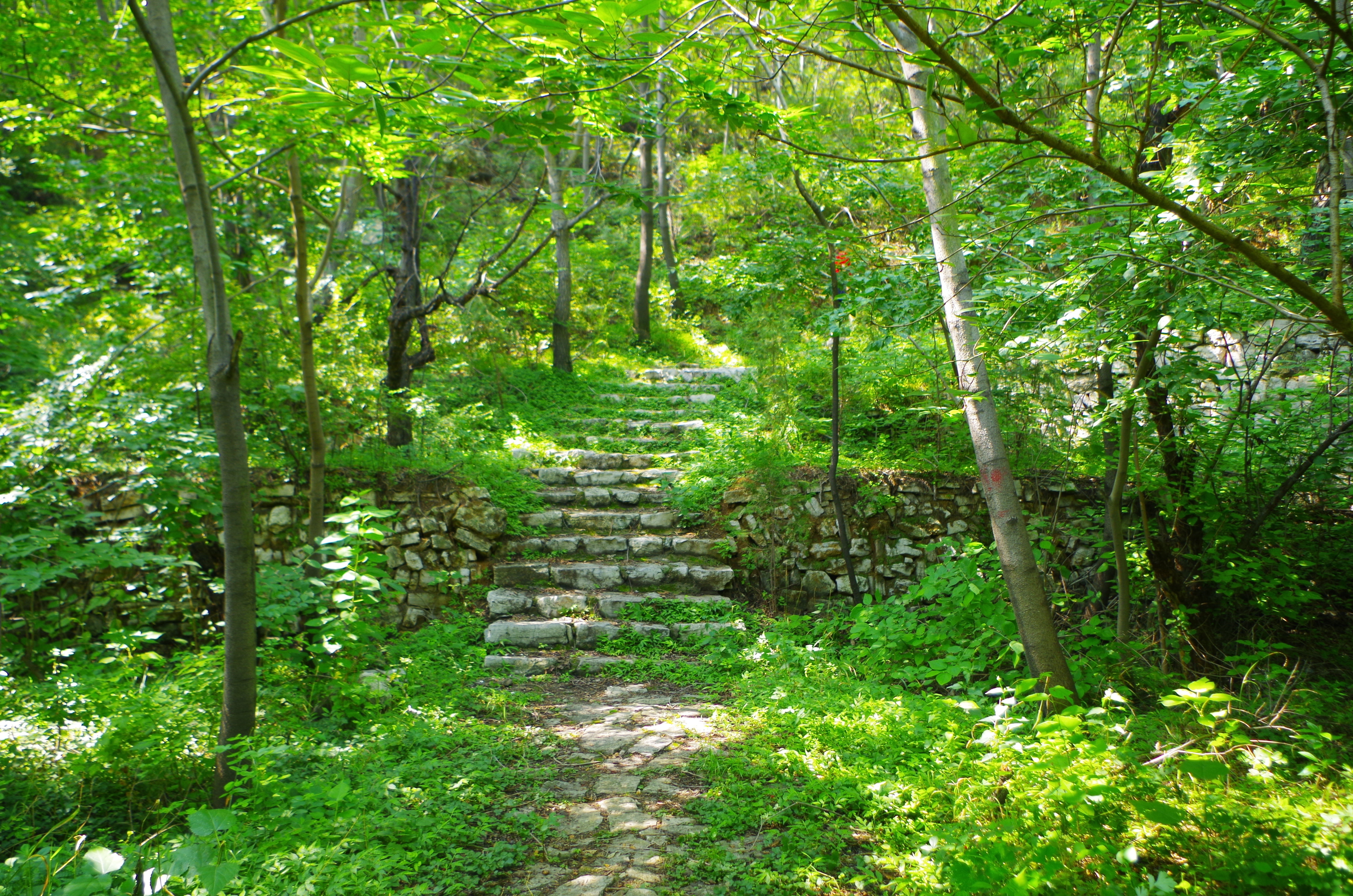 石家庄清凉山游玩需要多长时间,清凉山爬山详细爬山攻略