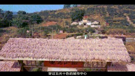 vivo重庆怎样,vivo与重庆