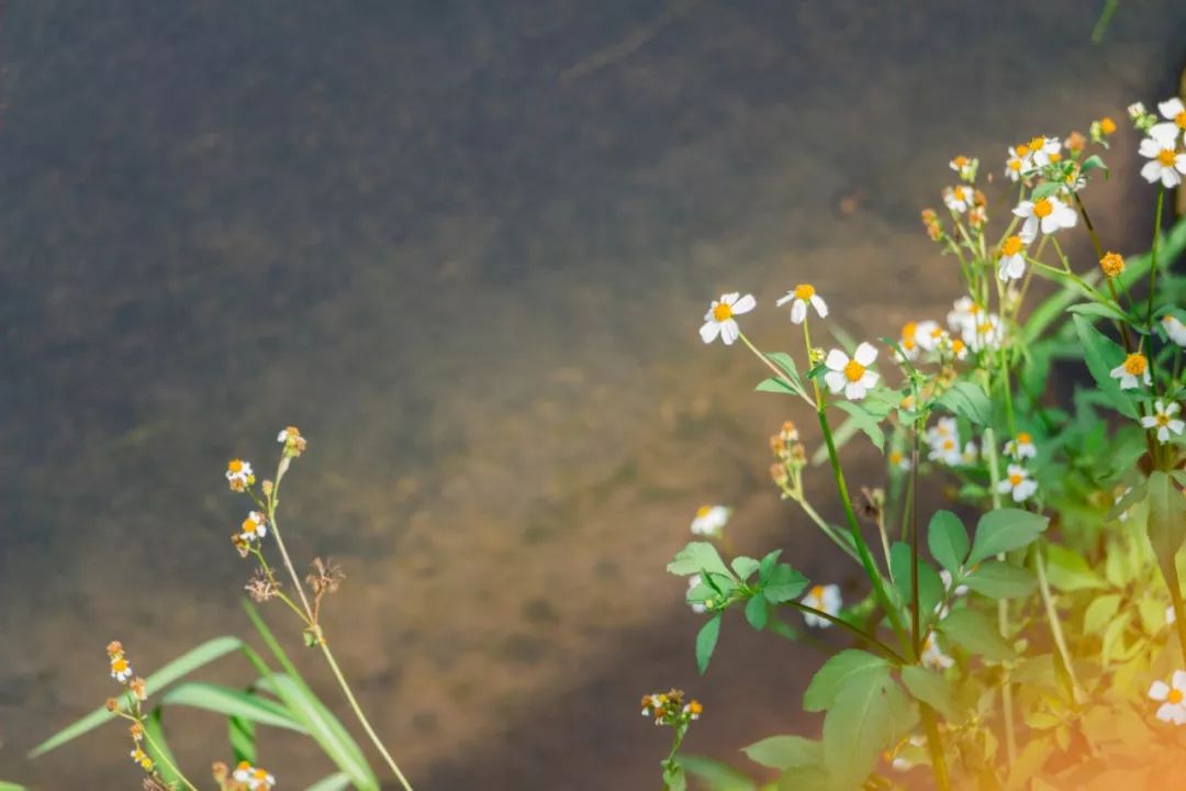 深圳好玩景点地铁路线,深圳好玩免费景点地铁直达的