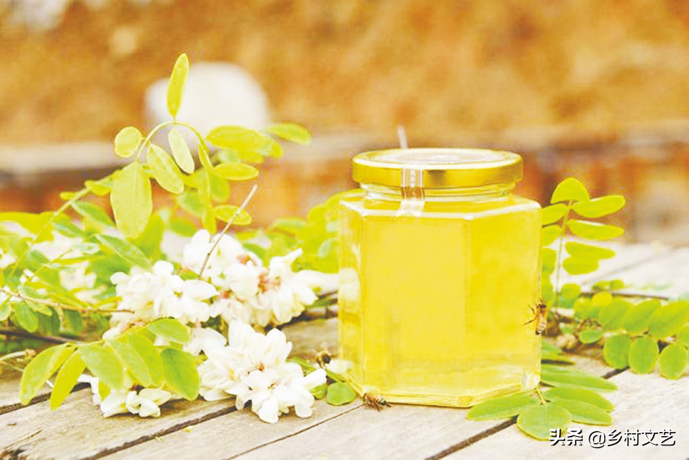 麟游蜂蜜的特产,麟游县槐花蜂蜜