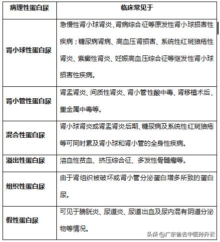 肾脏疾病导致泡沫尿的其他症状,尿里的蛋白尿是什么样的